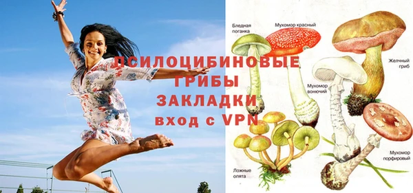 ГАЛЛЮЦИНОГЕННЫЕ ГРИБЫ Нея