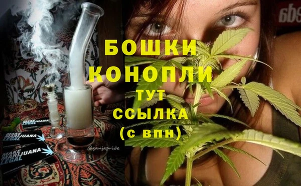 ГАЛЛЮЦИНОГЕННЫЕ ГРИБЫ Нея
